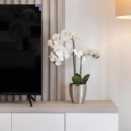 Myflat Wave Gold Premium Ii